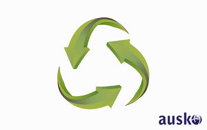 Reduce, Reuse, Recycle: Singapore’s Path to a Cleaner Future